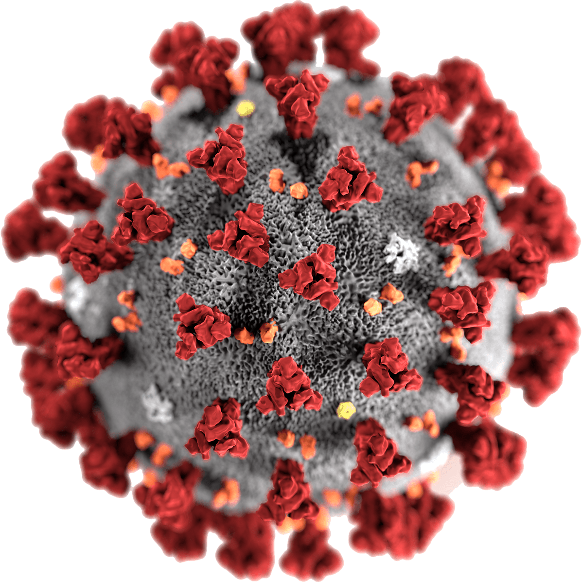 Coronavirus